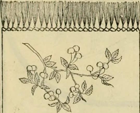 An illustration from Ingalls' illustrated catalogue and special wholesale price list of stamped goods, stamping outfits, fancy work materials, Briggs' transfer patterns, fancy work books and art novelties, 1887, leaf 11