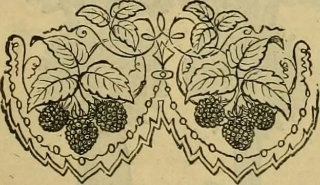 An illustration from Ingalls' illustrated catalogue and special wholesale price list of stamped goods, stamping outfits, fancy work materials, Briggs' transfer patterns, fancy work books and art novelties, 1887, leaf 18