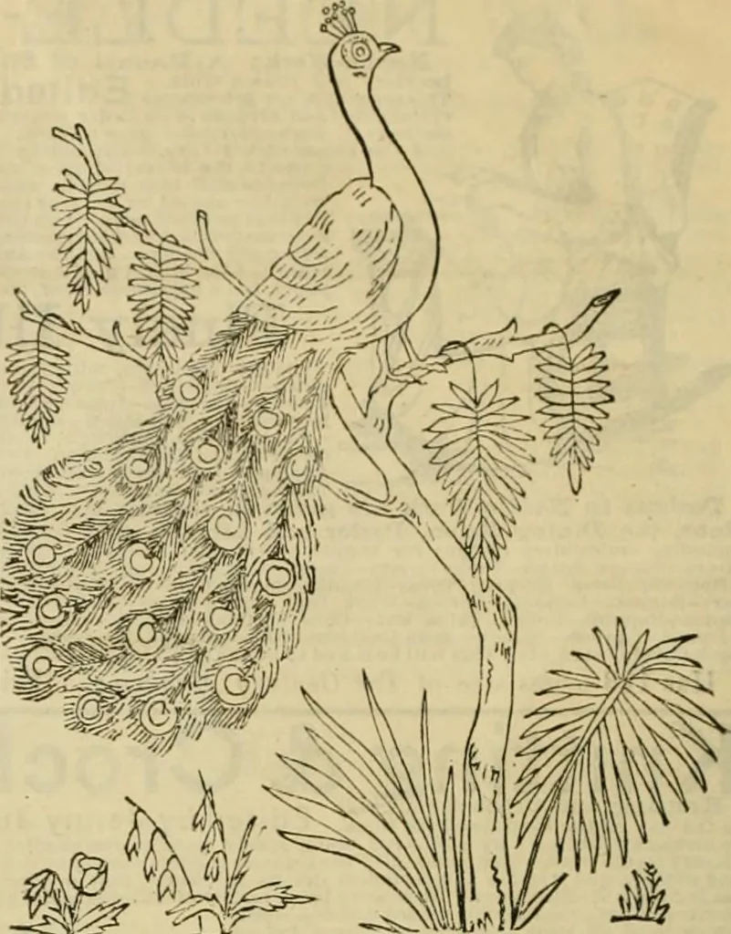 An illustration from Ingalls' illustrated catalogue and special wholesale price list of stamped goods, stamping outfits, fancy work materials, Briggs' transfer patterns, fancy work books and art novelties, 1887, leaf 19