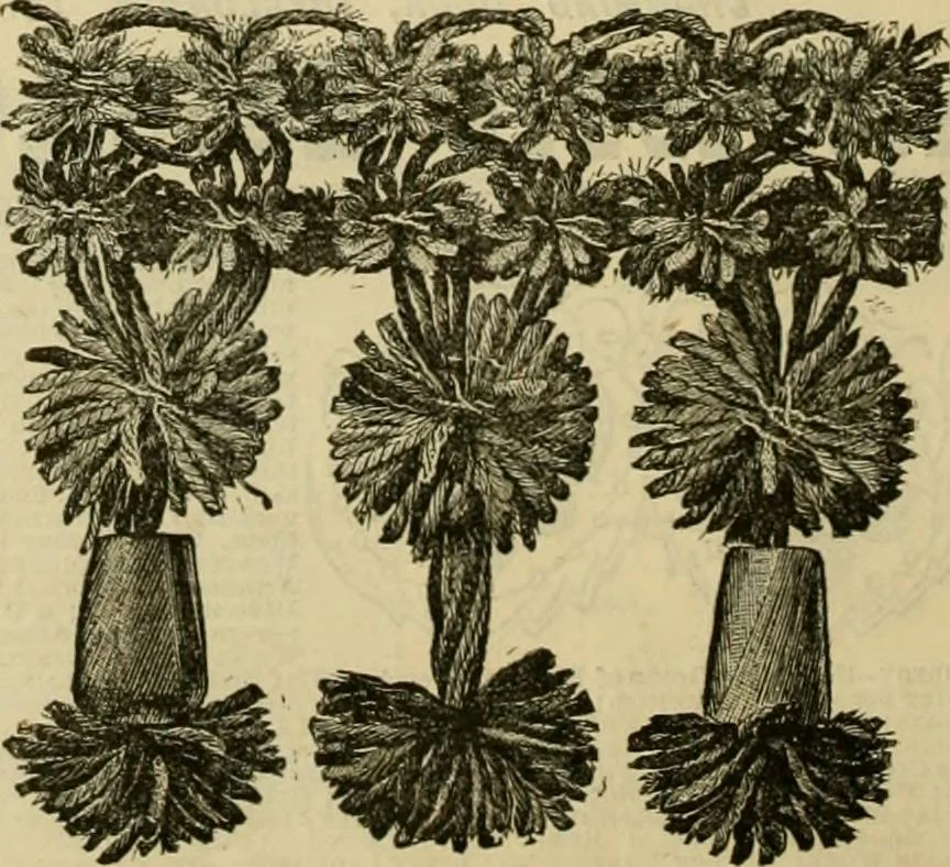 An illustration from Ingalls' illustrated catalogue and special wholesale price list of stamped goods, stamping outfits, fancy work materials, Briggs' transfer patterns, fancy work books and art novelties, 1887, leaf 19