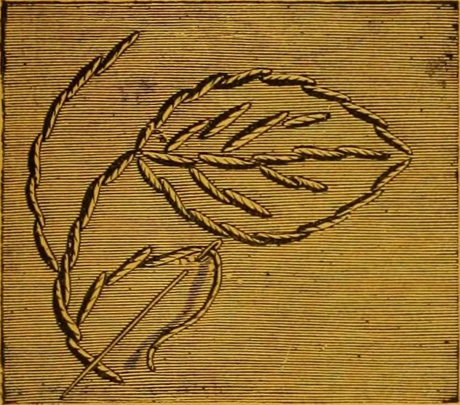 An illustration from Ingalls' illustrated catalogue and special wholesale price list of stamped goods, stamping outfits, fancy work materials, Briggs' transfer patterns, fancy work books and art novelties, 1887, leaf 20