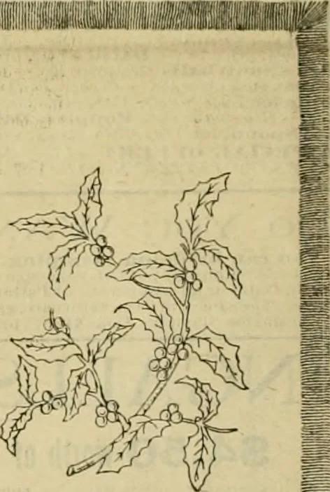 An illustration from Ingalls' illustrated catalogue and special wholesale price list of stamped goods, stamping outfits, fancy work materials, Briggs' transfer patterns, fancy work books and art novelties, 1887, leaf 5