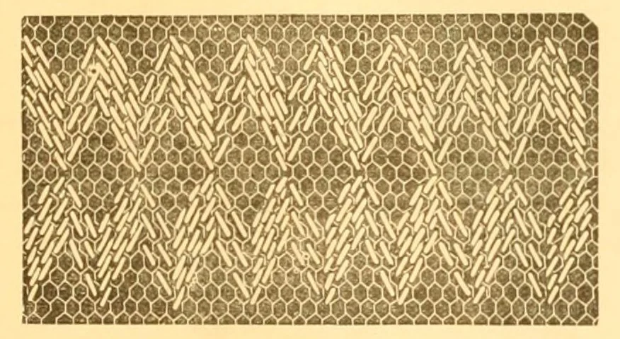 An illustration from Ingalls' manual of fancy work, 1882, leaf 21