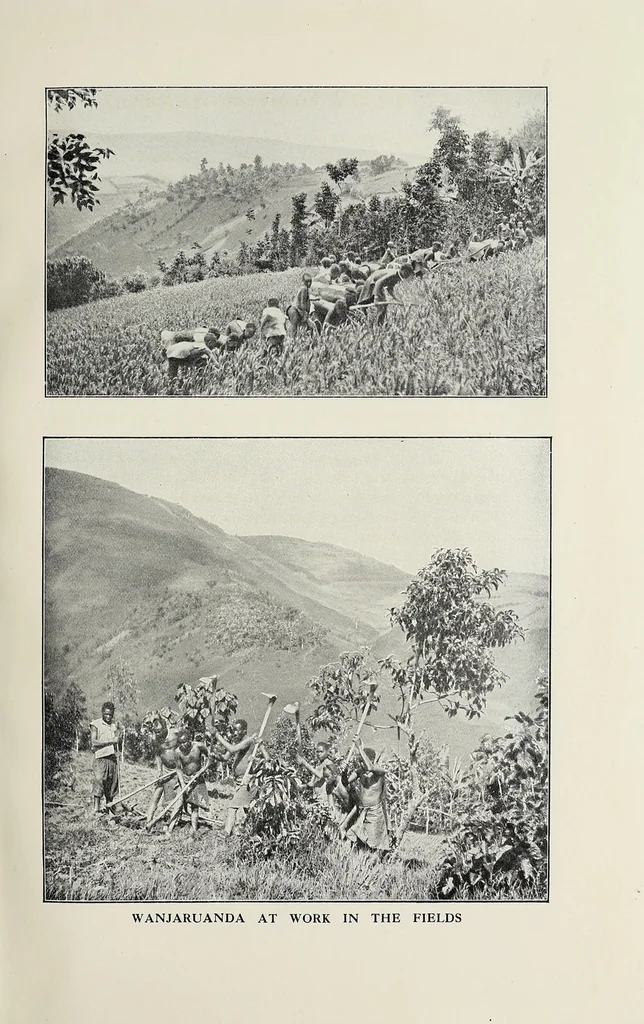 An illustration from In the heart of Africa, 1910, leaf 201
