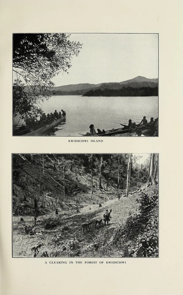 An illustration from In the heart of Africa, 1910, leaf 235
