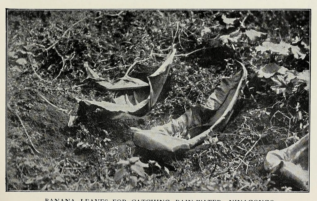 An illustration from In the heart of Africa, 1910, leaf 269
