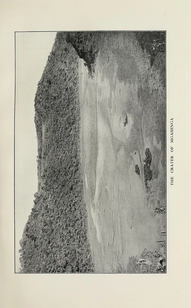 An illustration from In the heart of Africa, 1910, leaf 297
