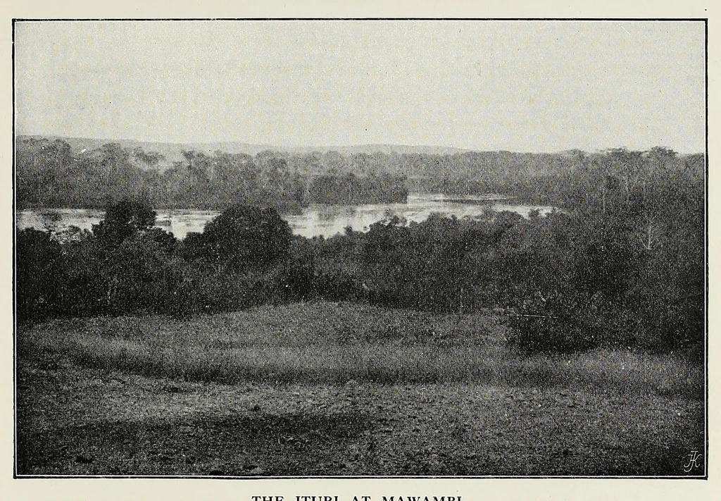 An illustration from In the heart of Africa, 1910, leaf 545
