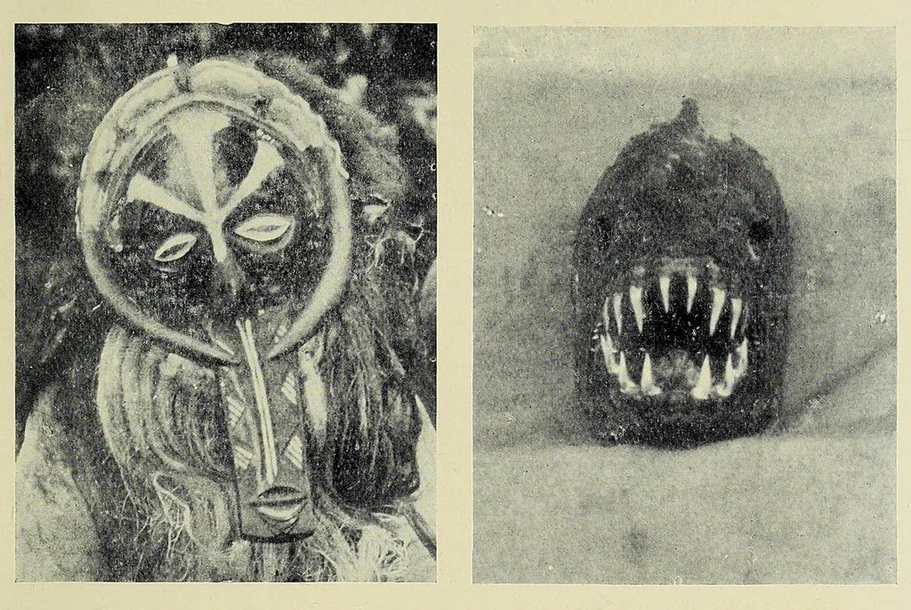 An illustration from In the heart of Bantuland; a record of twenty-nine years' pioneering in Central Africa among the Bantu peoples, with a description of their habits, customs, secret societies & languages, 1922, leaf 219