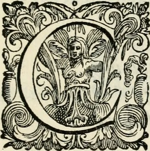 An illustration from In Henrici III. Galliarvm, et Sarmatiae Regis potentissimi ad vrbem Venetam aduentum, 1574, leaf 4