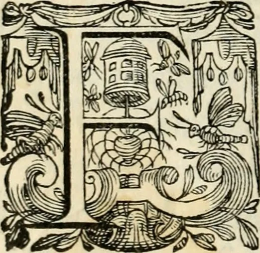 An illustration from In Henrici III. Galliarvm, et Sarmatiae Regis potentissimi ad vrbem Venetam aduentum, 1574, leaf 7