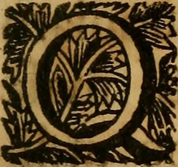 An illustration from In historiam Pomponii de origine juris : et omnium magistratuum et successione prudentium, exercitationes, 1691, leaf 158