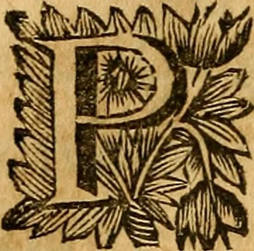 An illustration from In historiam Pomponii de origine juris : et omnium magistratuum et successione prudentium, exercitationes, 1691, leaf 169