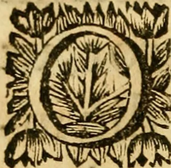 An illustration from In historiam Pomponii de origine juris : et omnium magistratuum et successione prudentium, exercitationes, 1691, leaf 19