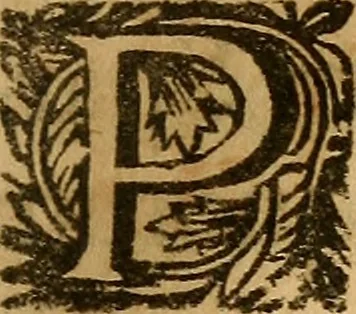 An illustration from In historiam Pomponii de origine juris : et omnium magistratuum et successione prudentium, exercitationes, 1691, leaf 410