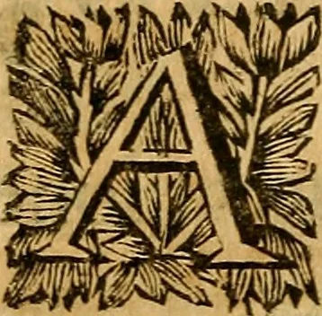 An illustration from In historiam Pomponii de origine juris : et omnium magistratuum et successione prudentium, exercitationes, 1691, leaf 419