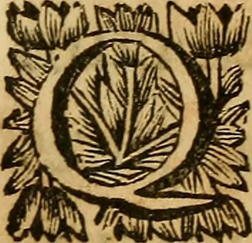 An illustration from In historiam Pomponii de origine juris : et omnium magistratuum et successione prudentium, exercitationes, 1691, leaf 8