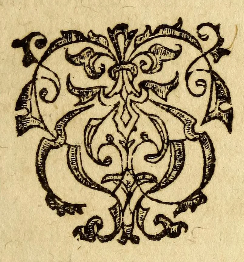 An illustration from In Historium generalem plantarum Rouillii, duobus tomis et appendice comprehensam breues annotationes & animaduersiones compendiosæ., 1600, leaf 63