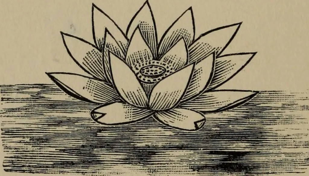 An illustration from Initiation and its results, a sequel to "The way of initiation", 1909, leaf 15