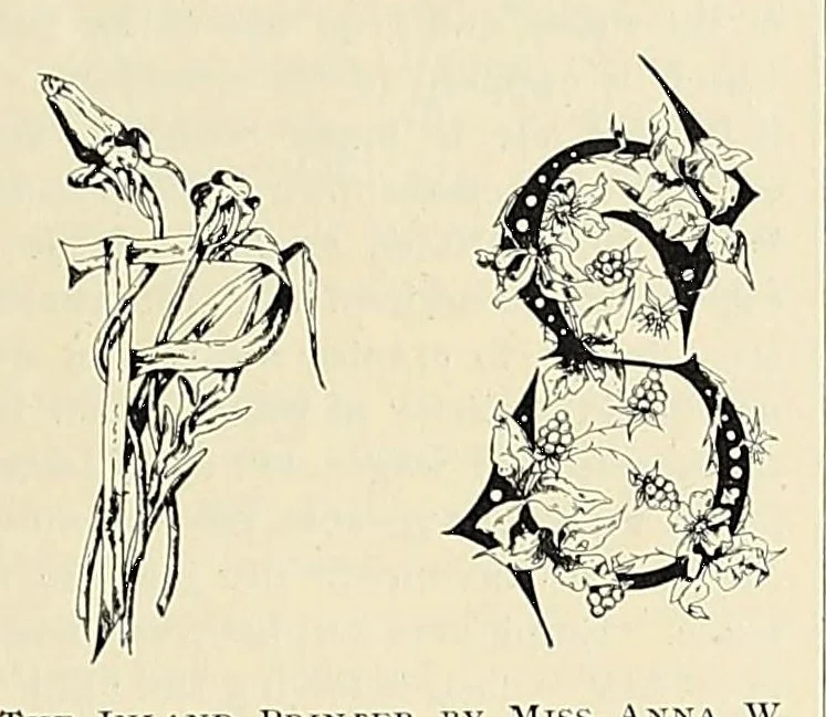An illustration from The Inland printer, 1883, leaf 333