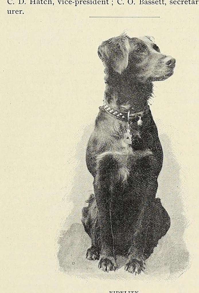 An illustration from The Inland printer, 1883, leaf 755