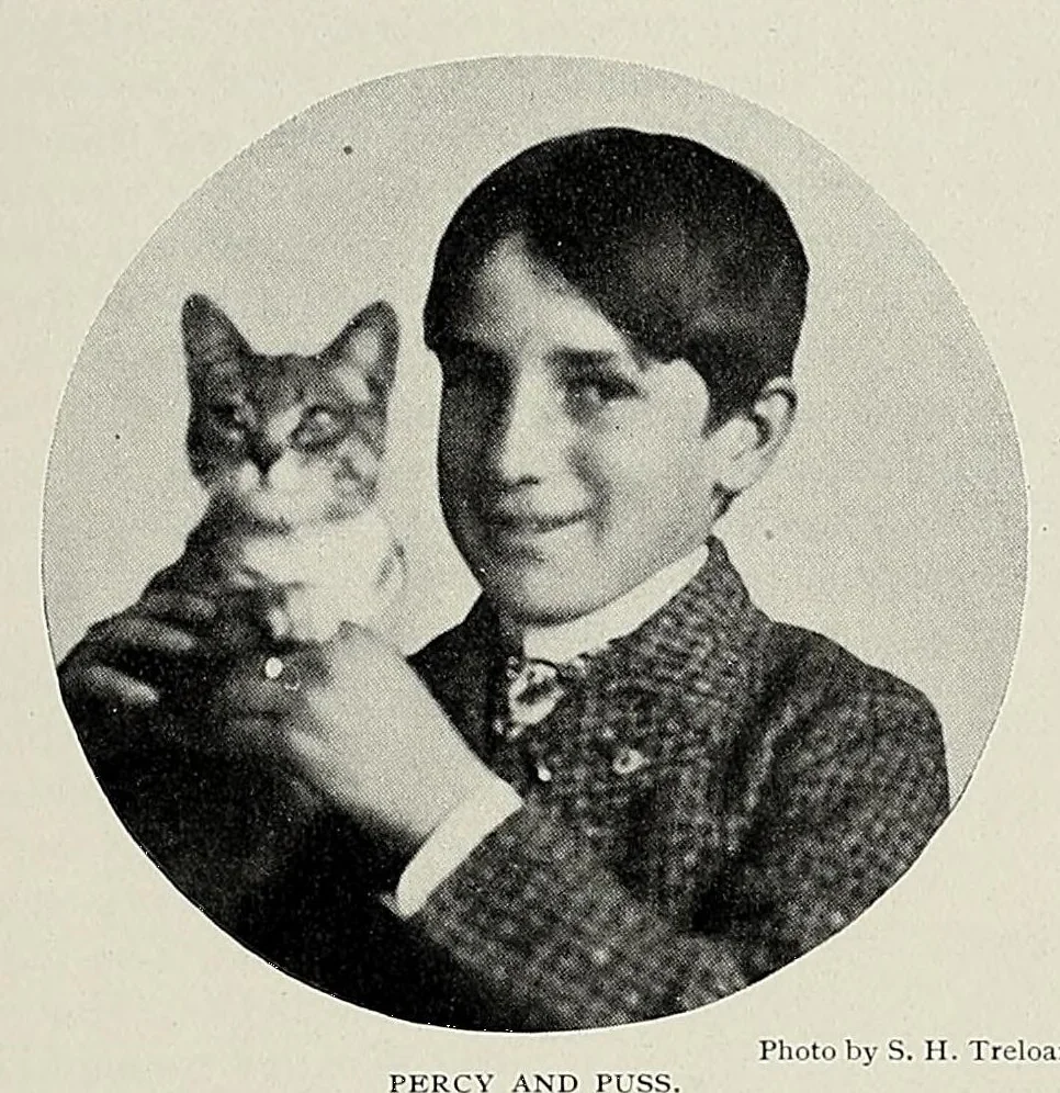 An illustration from The Inland printer, 1883, leaf 233