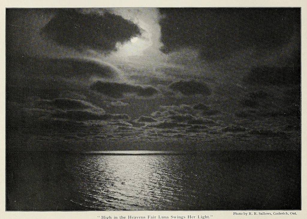 An illustration from The Inland printer, 1883, leaf 466