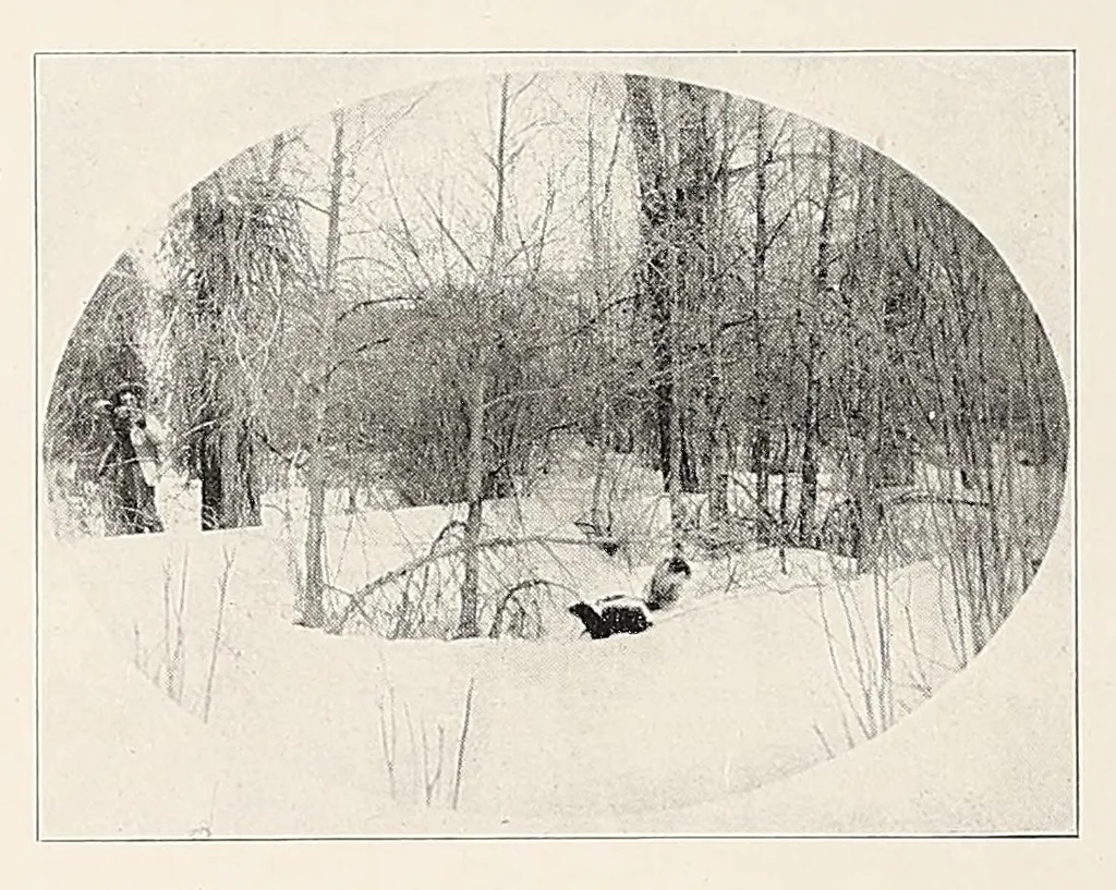 An illustration from The Inland printer, 1883, leaf 224