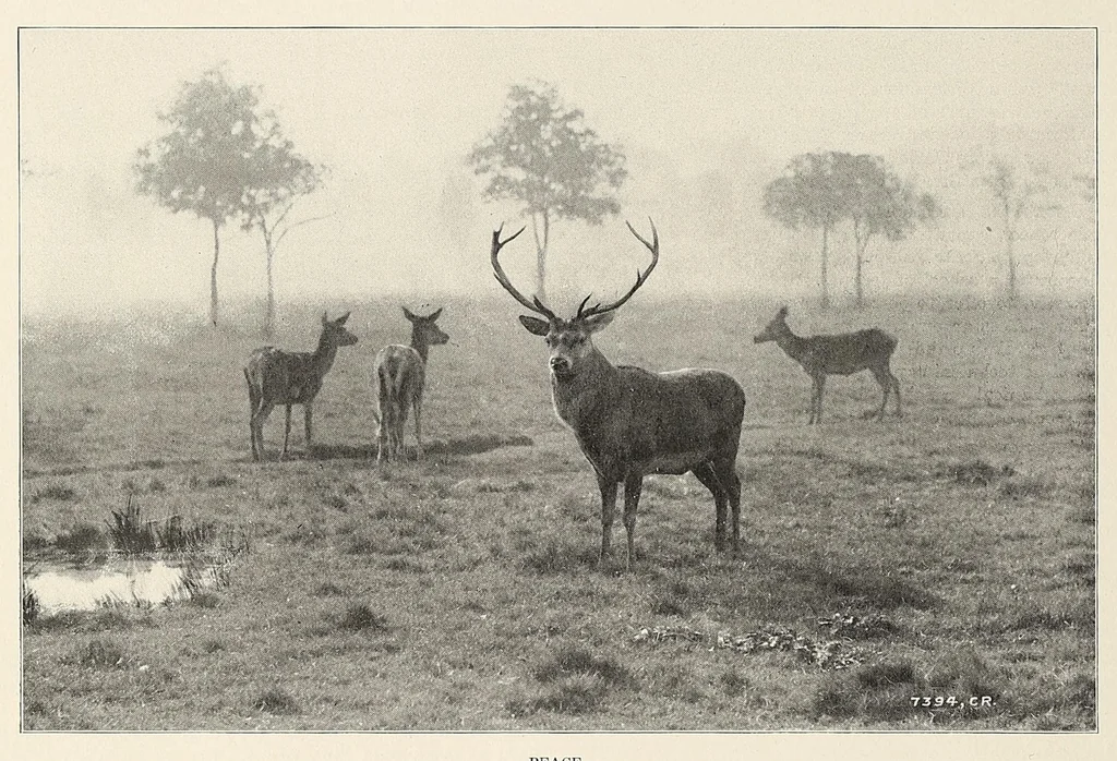 An illustration from The Inland printer, 1883, leaf 966