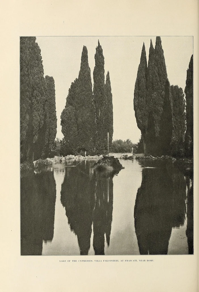 An illustration from The Inland printer, 1883, leaf 674