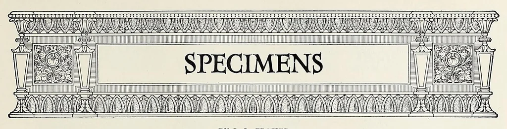 An illustration from The Inland printer, 1883, leaf 375