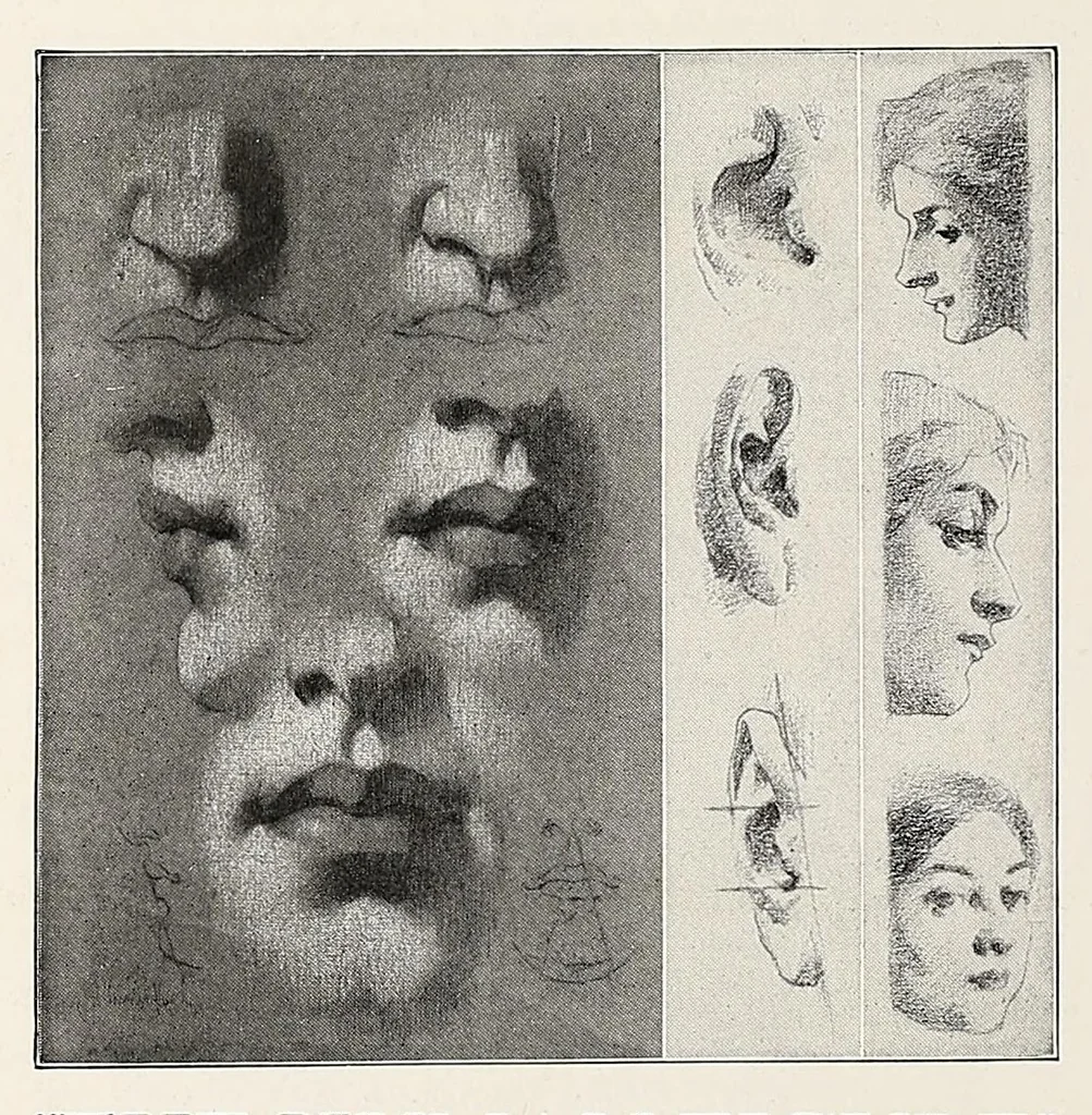 An illustration from The Inland printer, 1883, leaf 478