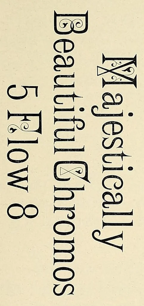 An illustration from The Inland printer, 1883, leaf 501