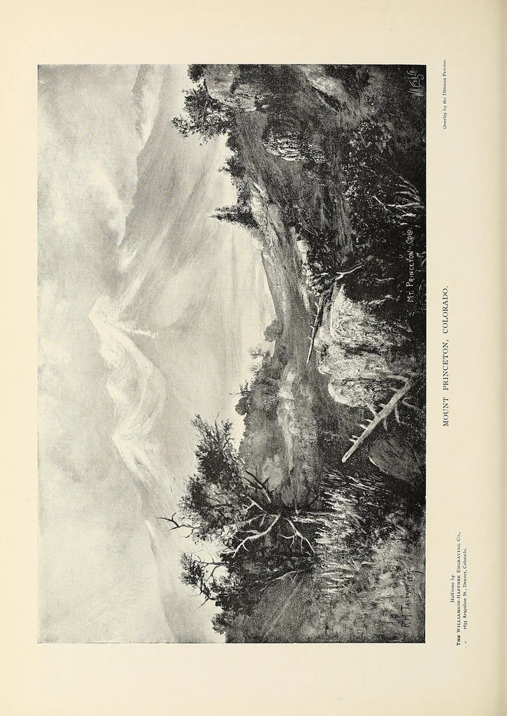 An illustration from The Inland printer, 1883, leaf 194