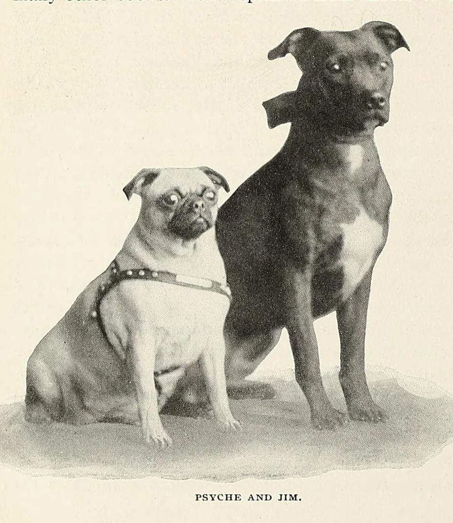 An illustration from The Inland printer, 1883, leaf 436