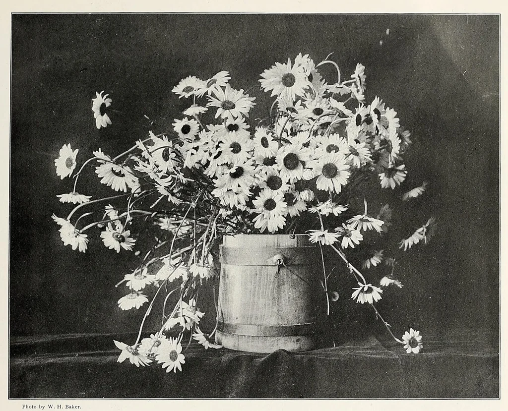 An illustration from The Inland printer, 1883, leaf 361