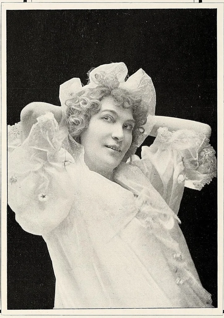 An illustration from The Inland printer, 1883, leaf 460