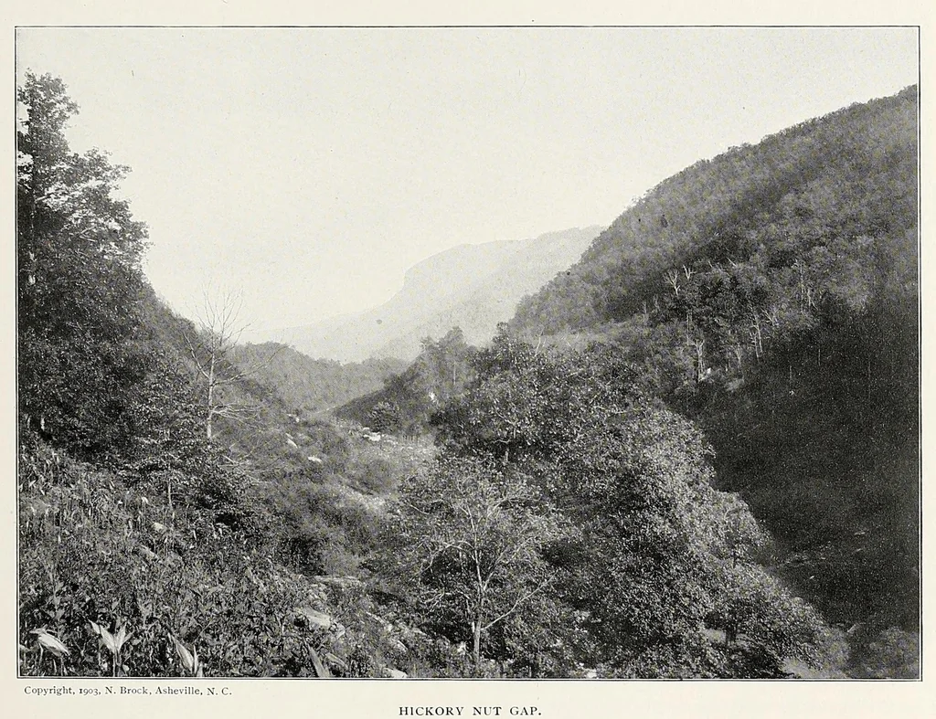 An illustration from The Inland printer, 1883, leaf 265