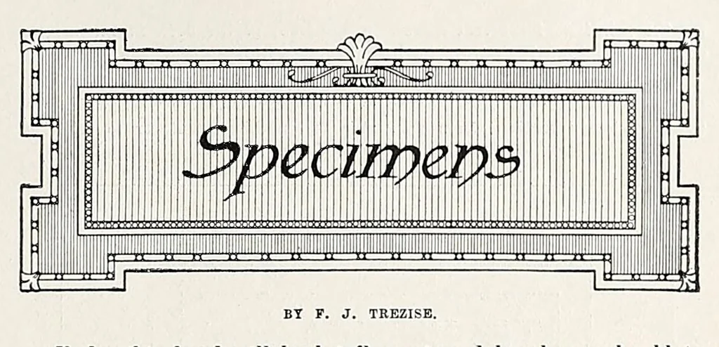 An illustration from The Inland printer, 1883, leaf 855