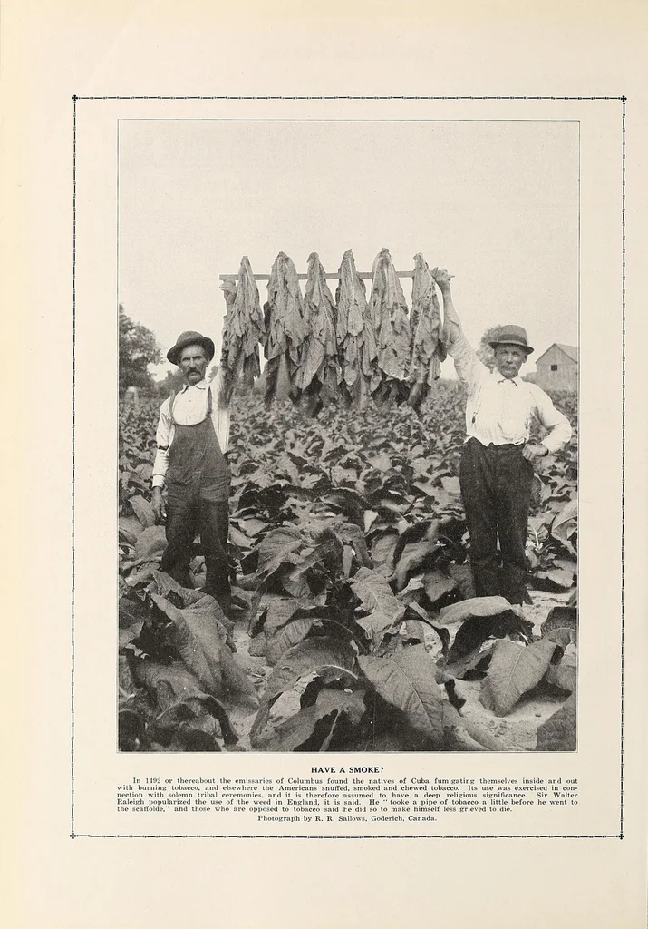 An illustration from The Inland printer, 1883, leaf 664