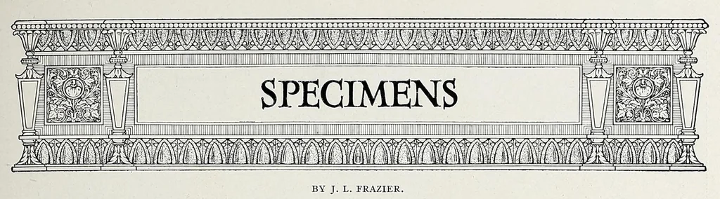 An illustration from The Inland printer, 1883, leaf 239