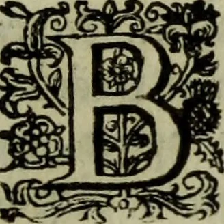 An illustration from Inleyding tot de hooge schoole der schilderkonst: anders de zichtbaere werelt. : verdeelt in negen leerwinkels, yder bestiert door eene der zanggodinnen. Ten hoogsten noodzakelijk, tot onderwijs, voor alle die deeze edele, vrye, en hooge konst oeffenen, of met yver zoeken te leeren, of anders eenigzins beminnen., 1678, leaf 188