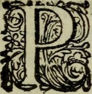 An illustration from Inleyding tot de hooge schoole der schilderkonst: anders de zichtbaere werelt. : verdeelt in negen leerwinkels, yder bestiert door eene der zanggodinnen. Ten hoogsten noodzakelijk, tot onderwijs, voor alle die deeze edele, vrye, en hooge konst oeffenen, of met yver zoeken te leeren, of anders eenigzins beminnen., 1678, leaf 215