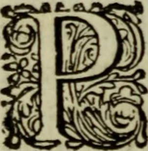 An illustration from Inleyding tot de hooge schoole der schilderkonst: anders de zichtbaere werelt. : verdeelt in negen leerwinkels, yder bestiert door eene der zanggodinnen. Ten hoogsten noodzakelijk, tot onderwijs, voor alle die deeze edele, vrye, en hooge konst oeffenen, of met yver zoeken te leeren, of anders eenigzins beminnen., 1678, leaf 229