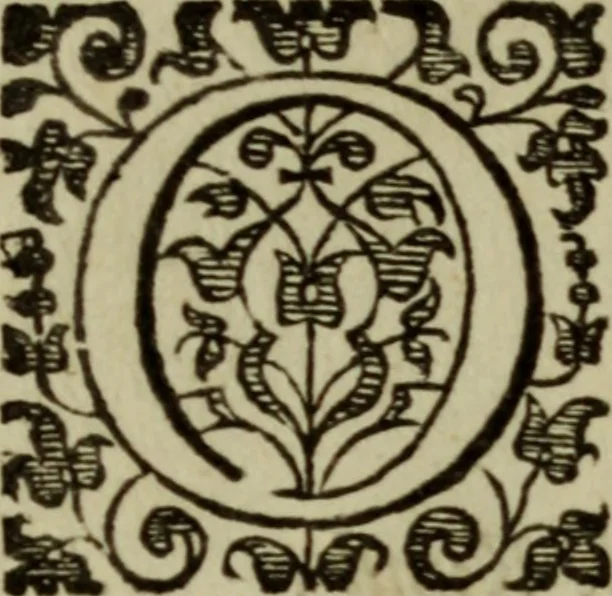 An illustration from Inleyding tot de hooge schoole der schilderkonst: anders de zichtbaere werelt. : verdeelt in negen leerwinkels, yder bestiert door eene der zanggodinnen. Ten hoogsten noodzakelijk, tot onderwijs, voor alle die deeze edele, vrye, en hooge konst oeffenen, of met yver zoeken te leeren, of anders eenigzins beminnen., 1678, leaf 25