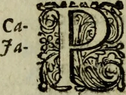 An illustration from Inleyding tot de hooge schoole der schilderkonst: anders de zichtbaere werelt. : verdeelt in negen leerwinkels, yder bestiert door eene der zanggodinnen. Ten hoogsten noodzakelijk, tot onderwijs, voor alle die deeze edele, vrye, en hooge konst oeffenen, of met yver zoeken te leeren, of anders eenigzins beminnen., 1678, leaf 269