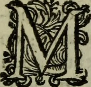 An illustration from Inleyding tot de hooge schoole der schilderkonst: anders de zichtbaere werelt. : verdeelt in negen leerwinkels, yder bestiert door eene der zanggodinnen. Ten hoogsten noodzakelijk, tot onderwijs, voor alle die deeze edele, vrye, en hooge konst oeffenen, of met yver zoeken te leeren, of anders eenigzins beminnen., 1678, leaf 308