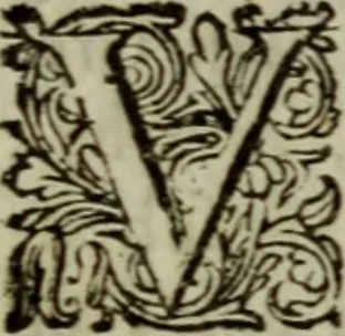An illustration from Inleyding tot de hooge schoole der schilderkonst: anders de zichtbaere werelt. : verdeelt in negen leerwinkels, yder bestiert door eene der zanggodinnen. Ten hoogsten noodzakelijk, tot onderwijs, voor alle die deeze edele, vrye, en hooge konst oeffenen, of met yver zoeken te leeren, of anders eenigzins beminnen., 1678, leaf 69