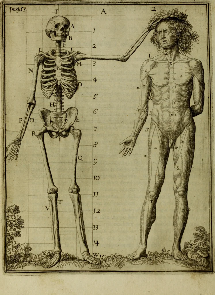 An illustration from Inleyding tot de hooge schoole der schilderkonst: anders de zichtbaere werelt. : verdeelt in negen leerwinkels, yder bestiert door eene der zanggodinnen. Ten hoogsten noodzakelijk, tot onderwijs, voor alle die deeze edele, vrye, en hooge konst oeffenen, of met yver zoeken te leeren, of anders eenigzins beminnen., 1678, leaf 79