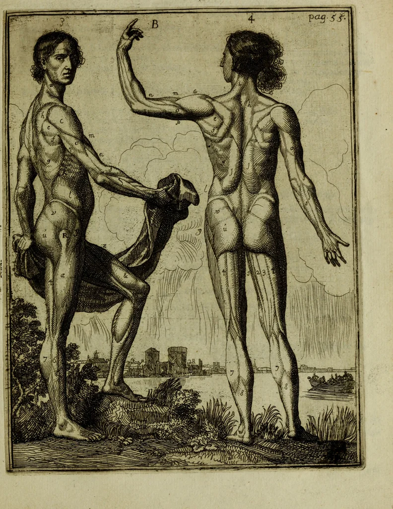An illustration from Inleyding tot de hooge schoole der schilderkonst: anders de zichtbaere werelt. : verdeelt in negen leerwinkels, yder bestiert door eene der zanggodinnen. Ten hoogsten noodzakelijk, tot onderwijs, voor alle die deeze edele, vrye, en hooge konst oeffenen, of met yver zoeken te leeren, of anders eenigzins beminnen., 1678, leaf 82